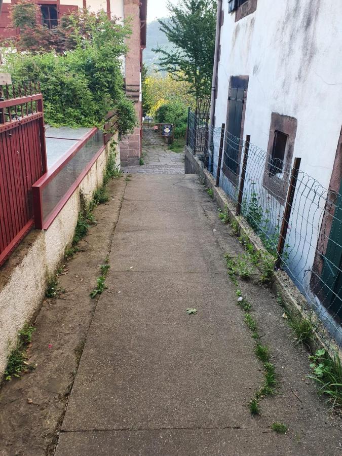 Maison Au Coeur De La Rue Pietonne Saint-Jean-Pied-de-Port Zewnętrze zdjęcie